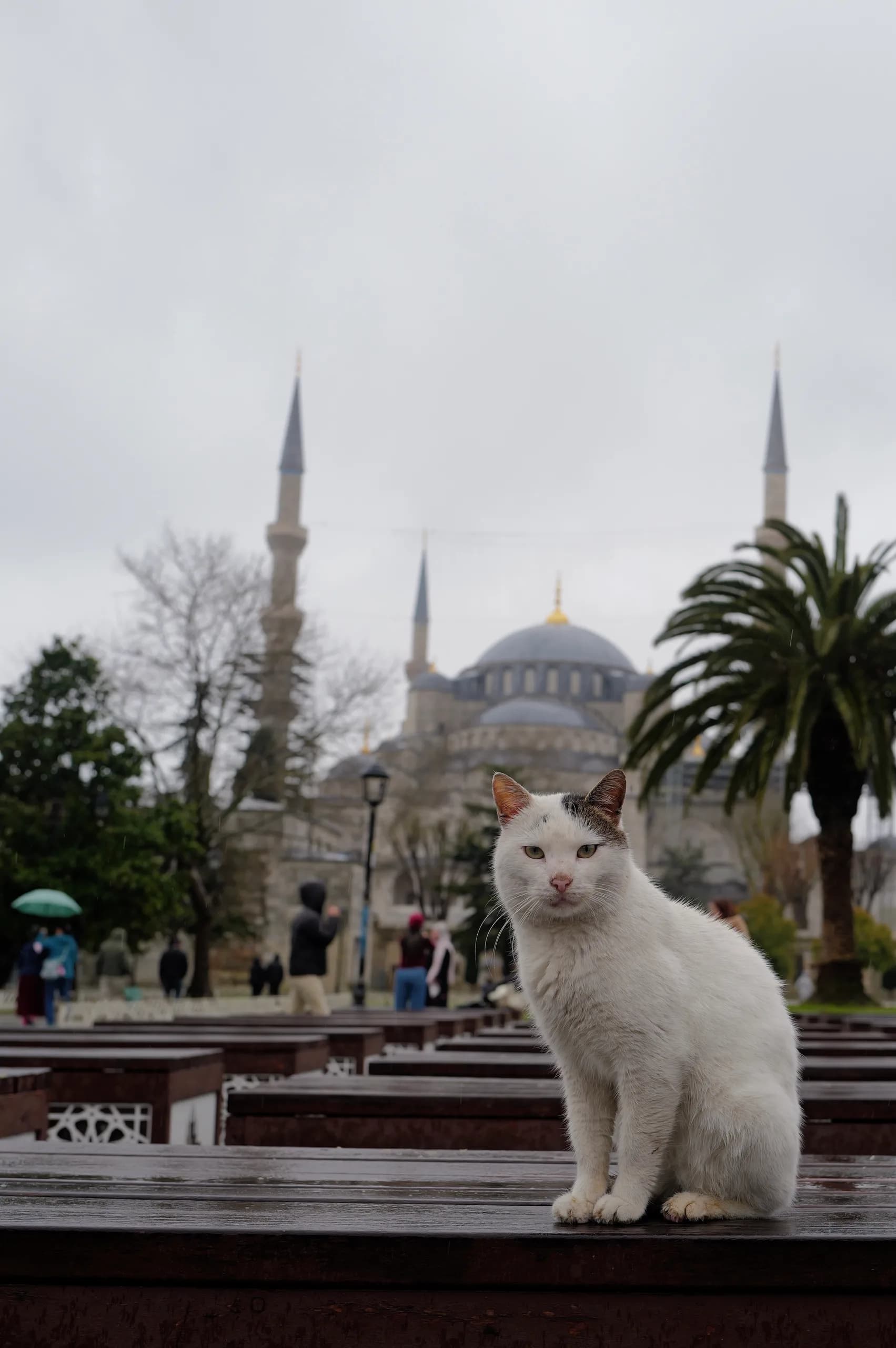 Istanbul, Turkey